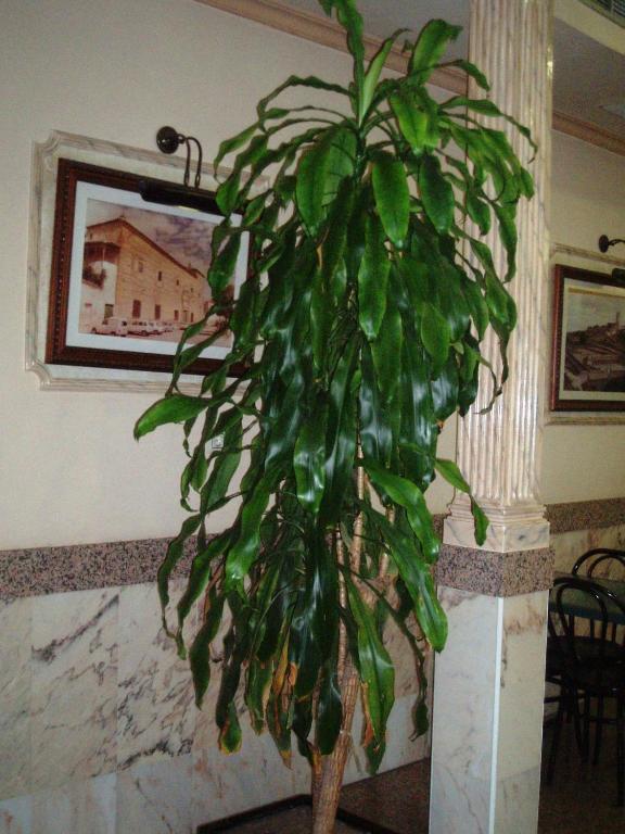 Hotel Los Hermanos 오카나 외부 사진